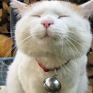 Meet your Posher, Hillian